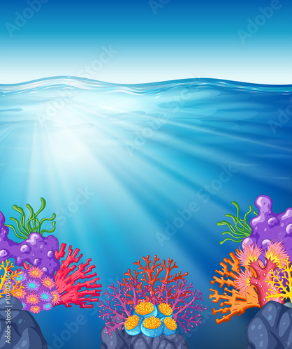 Scene with oean and coral reef underwater