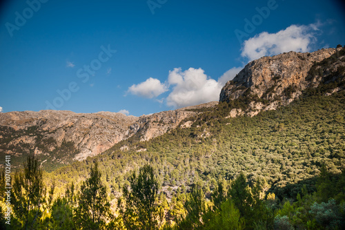 Beautiful landscape with rocky mountains and clouds on the western part of Mallorca island, Spain. Tramuntana mountains with green bushes. Tourist trekking destination in Spain.