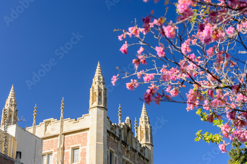 historical building with flowers photo