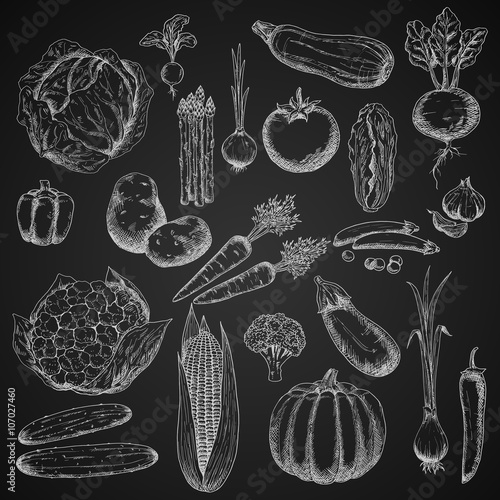 Organic vegetables chalk sketches set