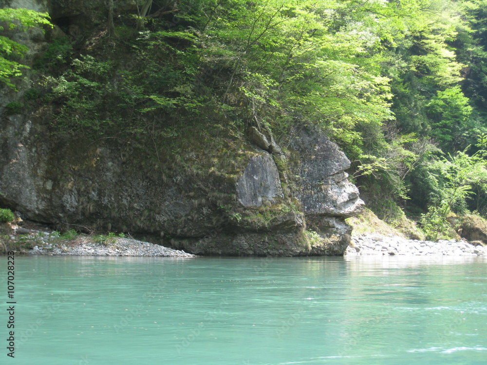 Naklejka premium 鬼怒川のゴリラ岩