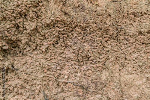Close up of Dry Soil texture - background & copy space 
