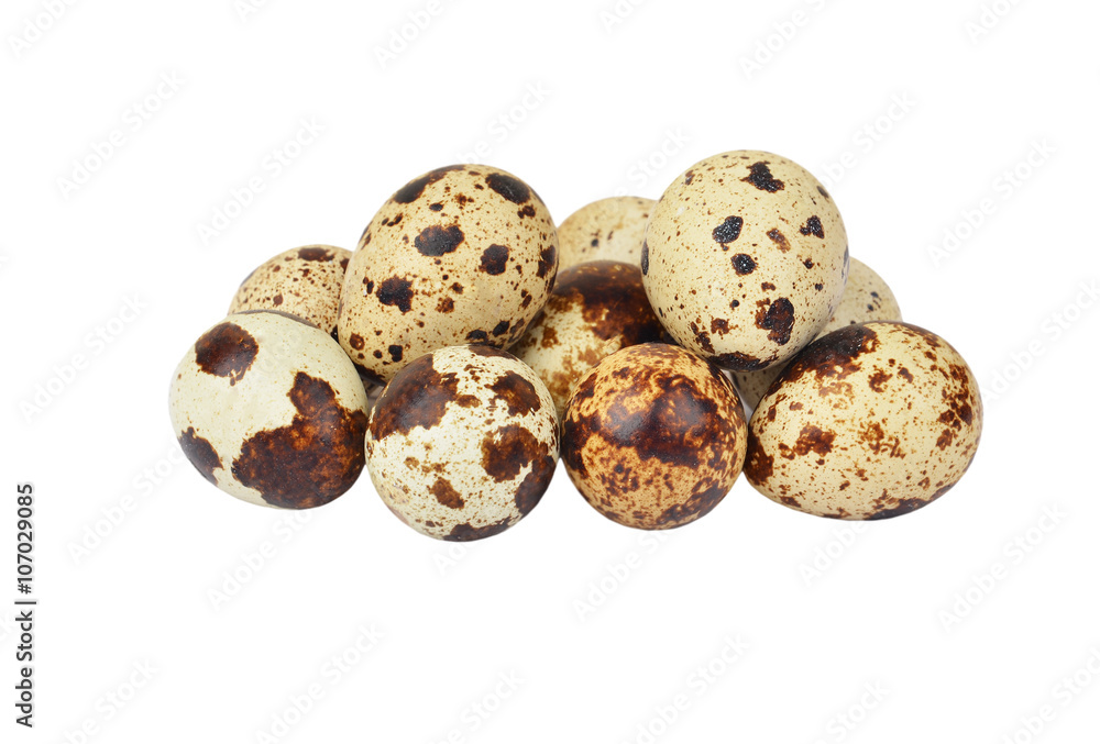 Quail eggs on white