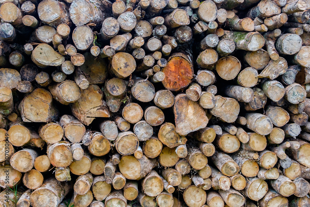 Pile of logs for wood texture background Pile of logs for wood texture background