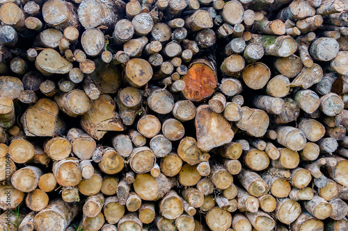 Pile of logs for wood texture background