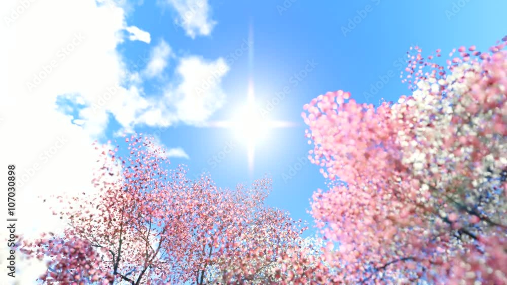 Animation of sakura with flowers sakura waving on wind Animation of sakura with flowers sakura waving on wind