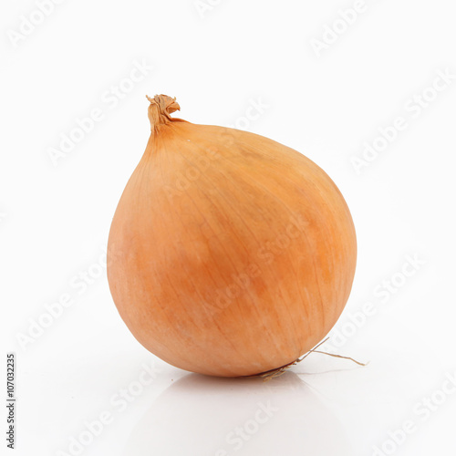 Studio shoot of onion on whte