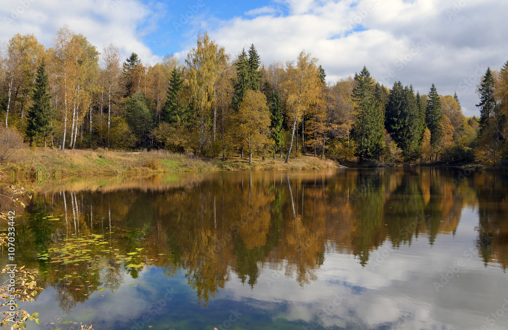 Autumn scene