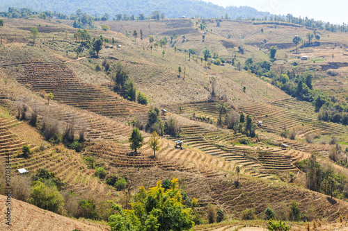 Barren terraced rice field
