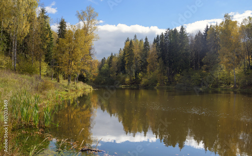 Autumn scene © valeriy boyarskiy