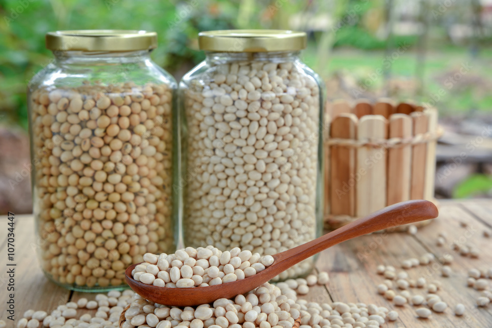 White haricot beans on wooden spoon White haricot beans on wooden spoon