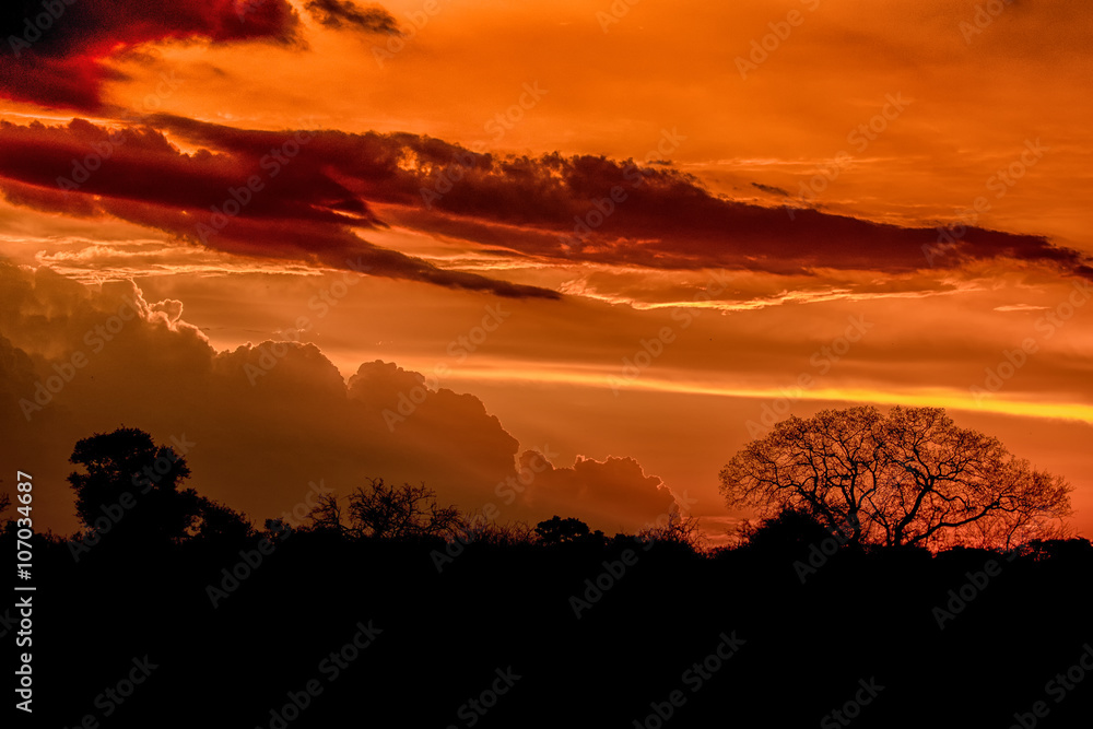 Naklejka premium African Sunset