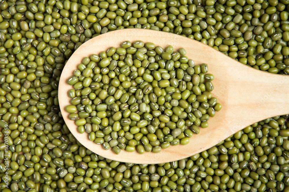 scoop of green beans seed on a pile of green bean seed scoop of green beans seed on a pile of green bean seed