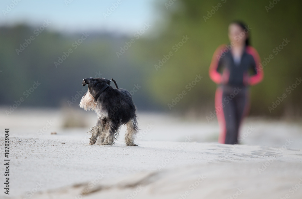 Girl with dog walking on the beach