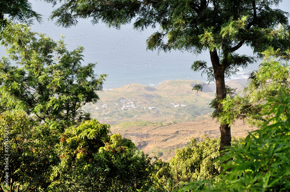 Vista into São Jorge