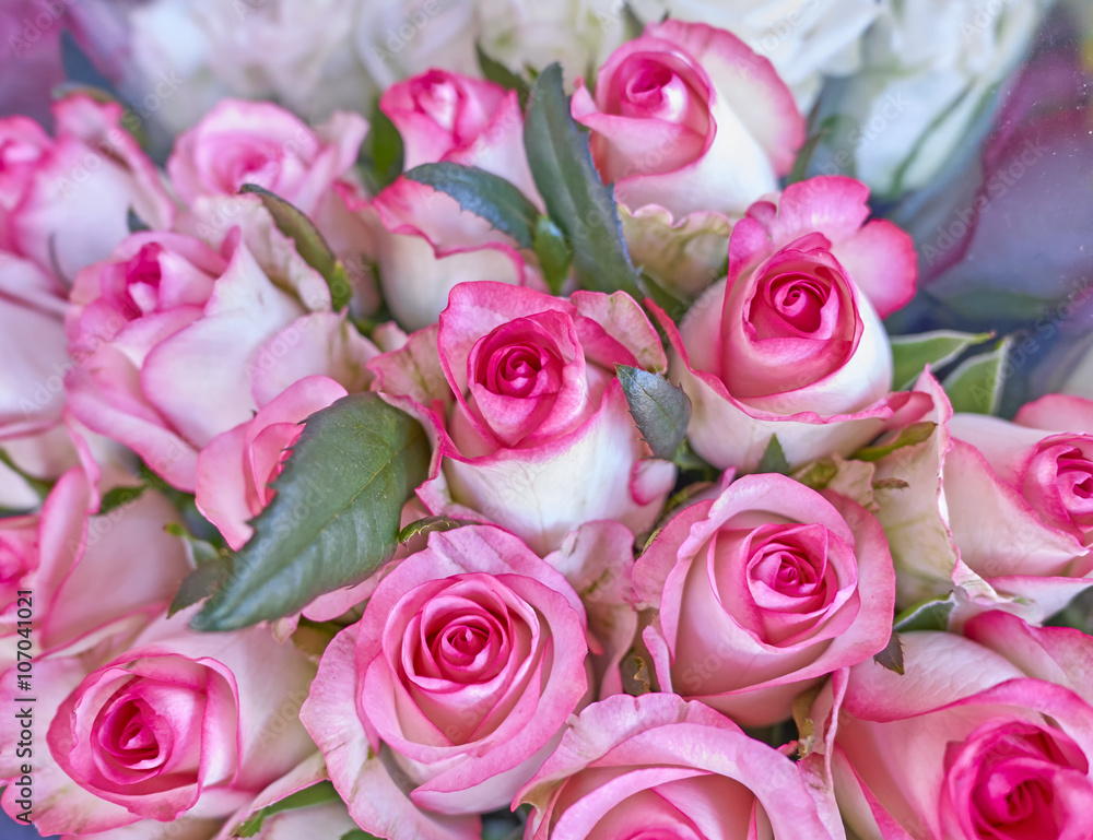 pink roses bouquet closeup, natural background