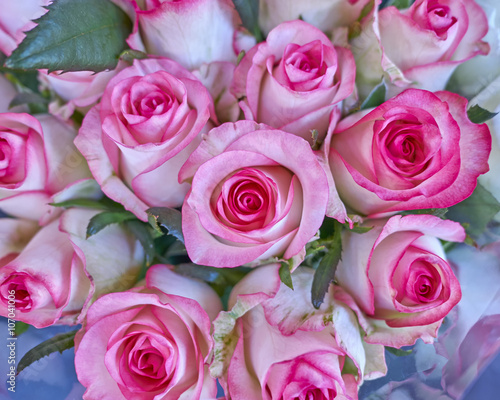 pink roses bouquet closeup, natural background