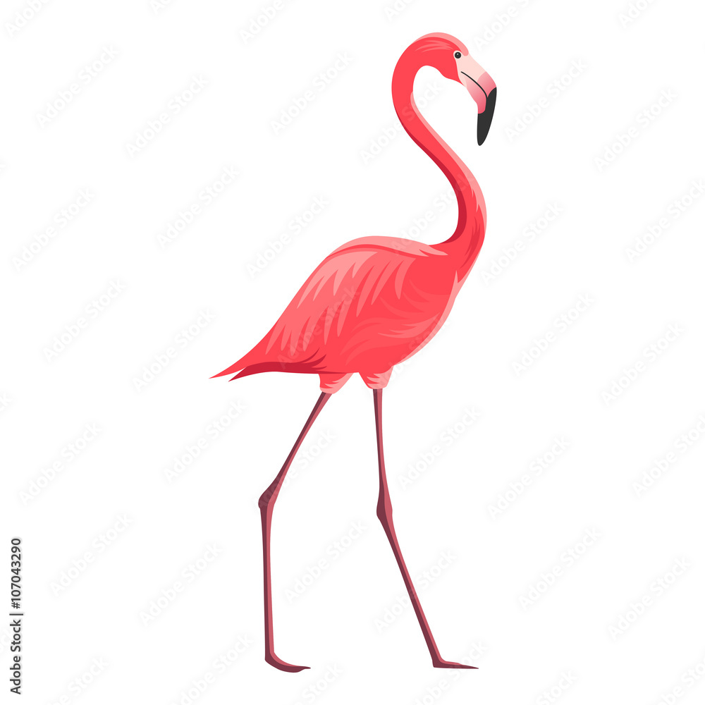 Naklejka premium Vector Illustration of a Flamingo