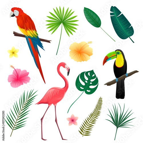 Vector Illustration of Tropical Leaves, Flowers and Birds