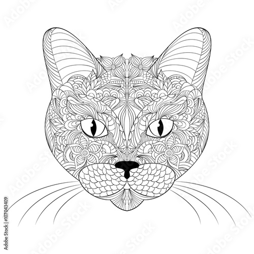 head of cat on white background