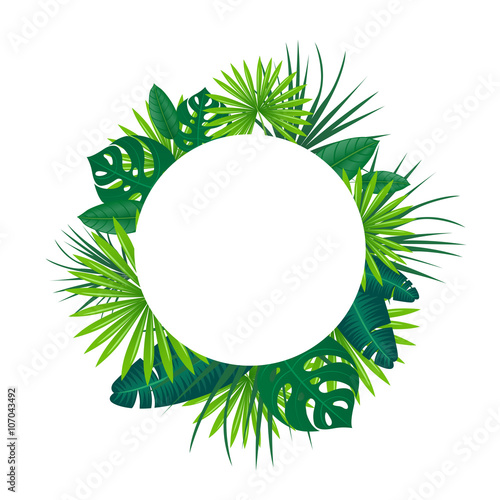 Vector Illustration of Tropical Leaves