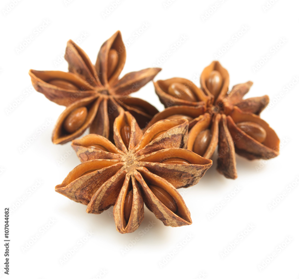 anise star on white background anise star on white background
