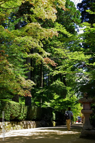 高野山金剛峰寺への参道