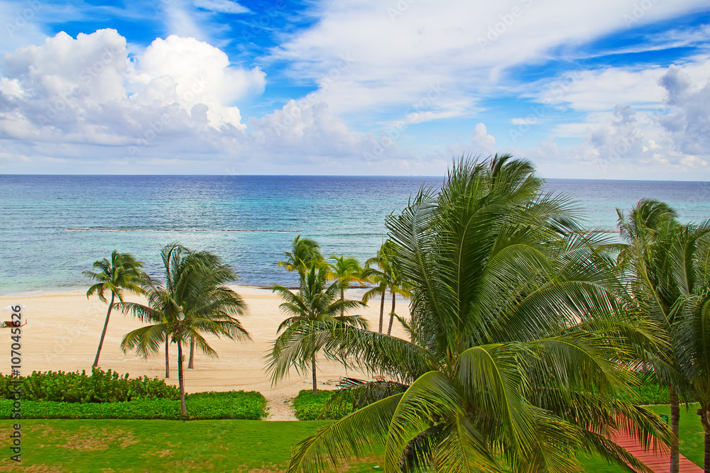 Fototapeta premium Sandy beach