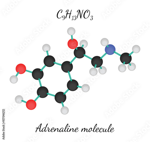 C9H13NO3 adrenaline molecule