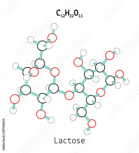 C12H22O11 Lactose molecule