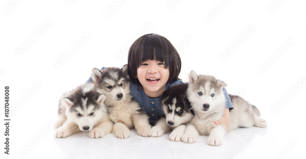 Cute asian boy lying with siberian husky puppies