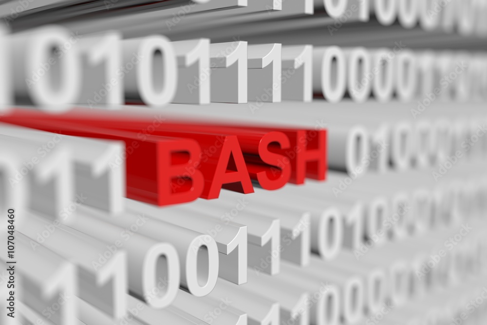 BASH in the form of a binary code with blurred background 3D illustration