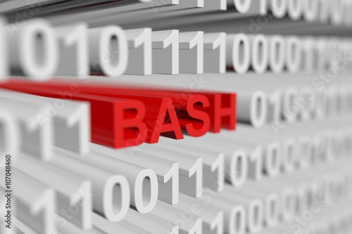 Cuadro en lienzo BASH in the form of a binary code with blurred background 3D illustration
