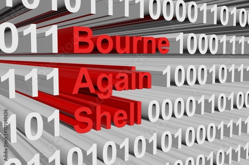 Tapety artystyczne Bourne again shell in the form of binary code, 3D illustration