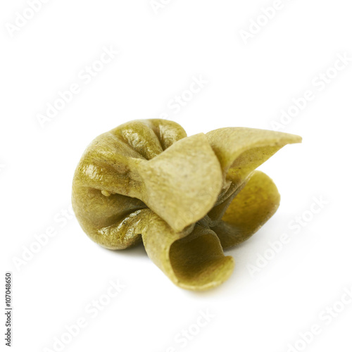 Single sacchettoni pasta isolated photo