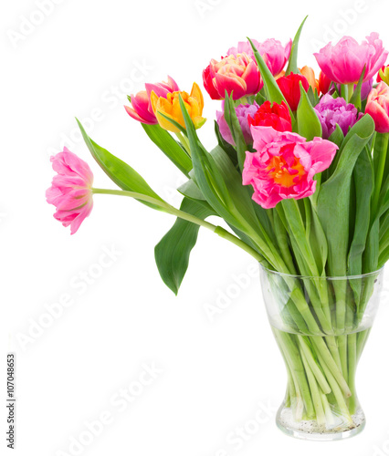 bouquet of  pink, purple and red  tulips