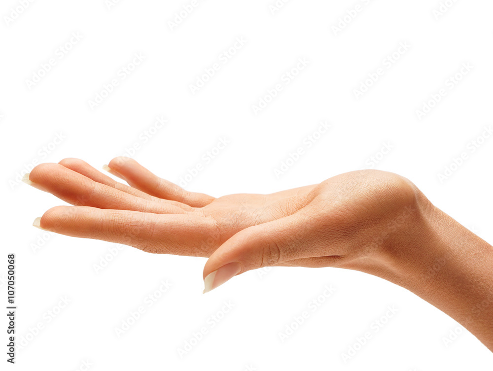 Woman's hand sign isolated on white background. Palm up, close up. Woman's hand sign isolated on white background. Palm up, close up.
