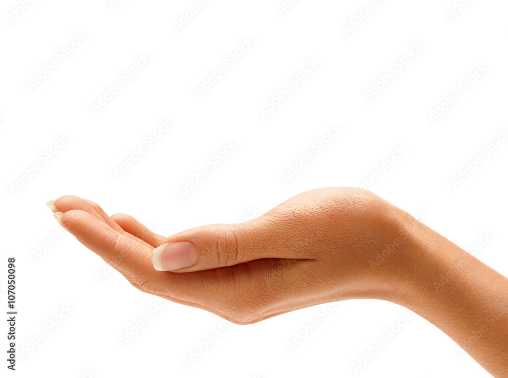 Woman's hand sign isolated on white background. Palm up, close up. Woman's hand sign isolated on white background. Palm up, close up.