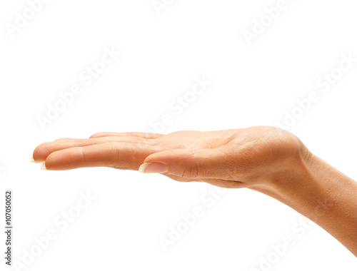 Woman's hand sign isolated on white background. Palm up, close up. © Romario Ien