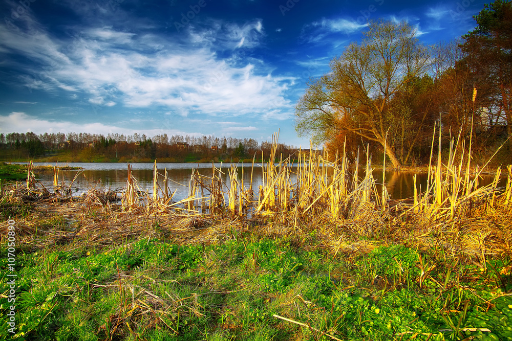 Obraz premium Sunny day on a calm river in summer