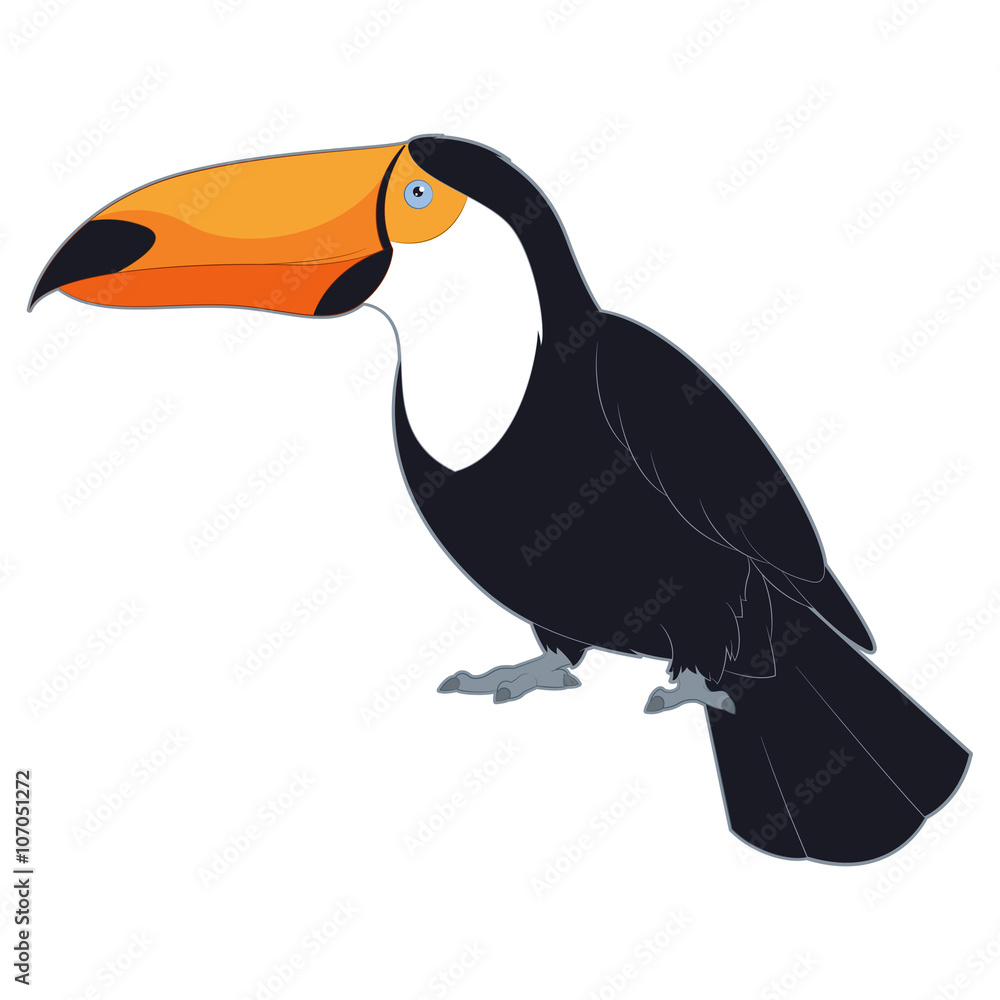 Obraz premium Cartoon Smiling Toucan