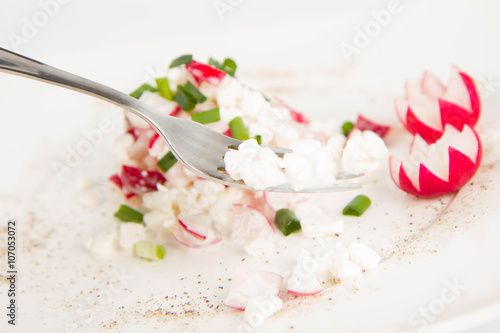 Wallpaper Mural Cottage cheese with radish and chives Torontodigital.ca