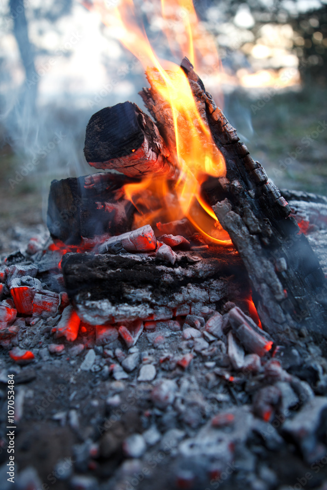 fire fireplace