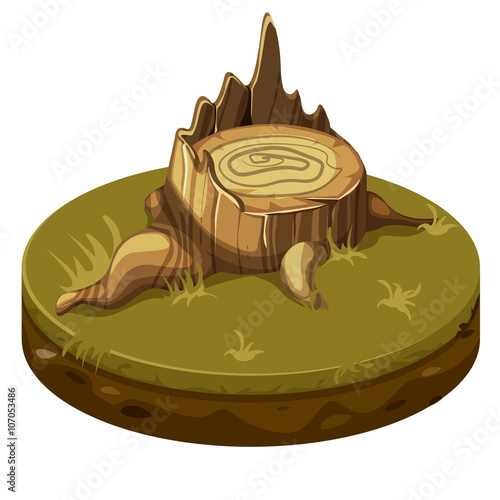 Tree stump at ground platform 