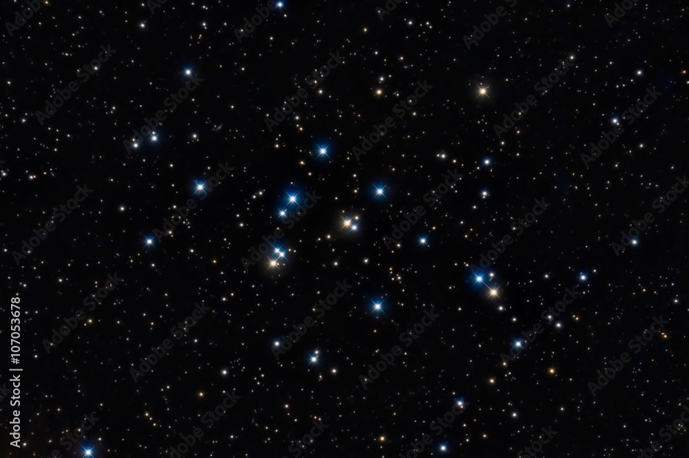Fototapeta premium M44 cluster, Colorful stars in the night sky