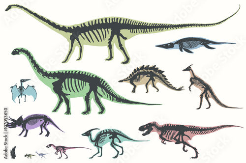 Set of silhouettes of skeletons of dinosaurs and fossils. Hand drawn vector illustration. Silhouettes of man and children  comparison of sizes  realistic size.