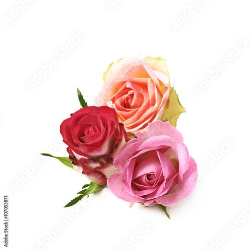 Rose buds composition isolated