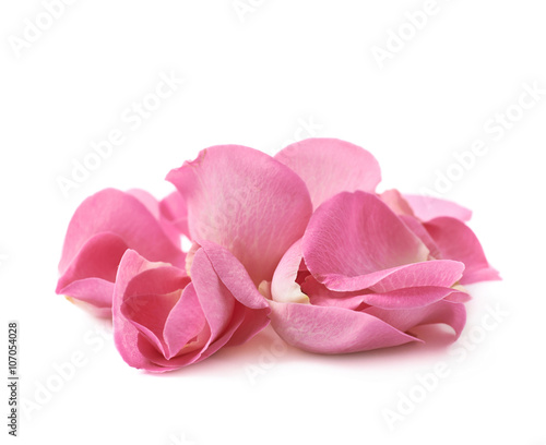 Pile of multiple rose petals