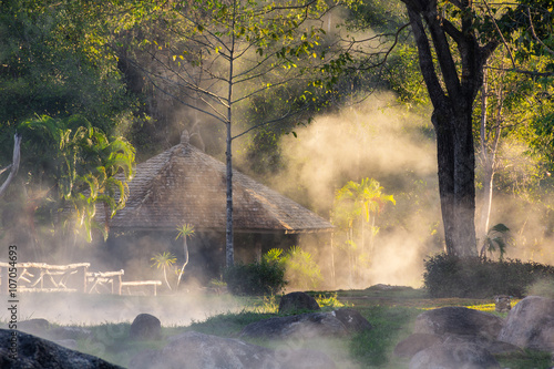 The steam from the natural hot springs.