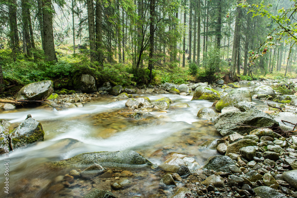 landscape with mountains trees and a river in front landscape with mountains trees and a river in front